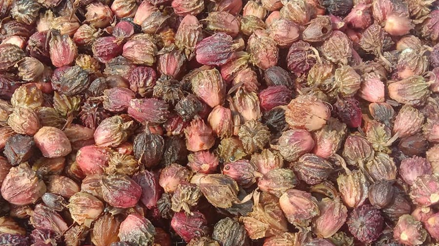 Cardamom Seeds